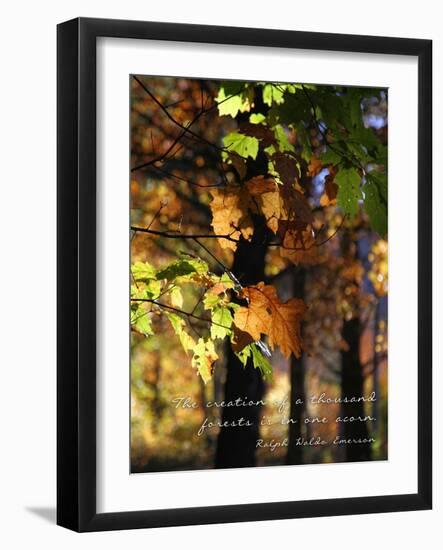 A Thousand Forests-Kathy Mansfield-Framed Art Print