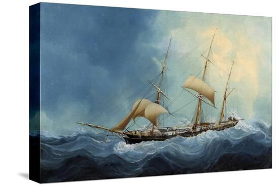 Stretched Canvas Print, , large