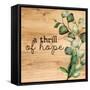 A Thrill of Hope-Ann Bailey-Framed Stretched Canvas