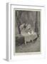 A Thrilling Romance-Jozef Wodzinski-Framed Giclee Print