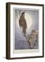'A Thrush Sang it to Me', from Brownies and Other Tales by Julia Hortia Ewing, Woodward, Alice B…-null-Framed Giclee Print