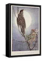 'A Thrush Sang it to Me', from Brownies and Other Tales by Julia Hortia Ewing, Woodward, Alice B…-null-Framed Stretched Canvas
