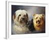 A Tibetan, a Cairn and a Silky Terrier-Lilian Cheviot-Framed Giclee Print