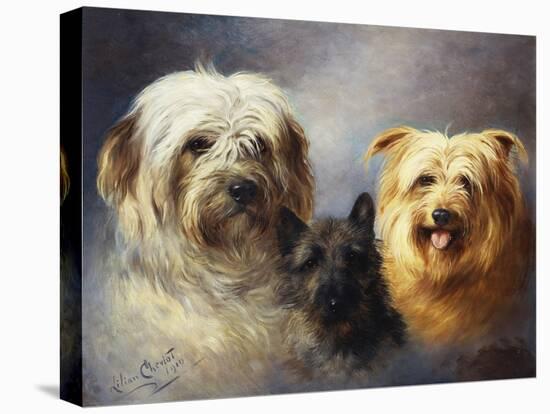 A Tibetan, a Cairn and a Silky Terrier-Lilian Cheviot-Stretched Canvas