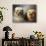 A Tibetan, a Cairn and a Silky Terrier-Lilian Cheviot-Giclee Print displayed on a wall