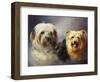 A Tibetan, a Cairn and a Silky Terrier-Lilian Cheviot-Framed Premium Giclee Print