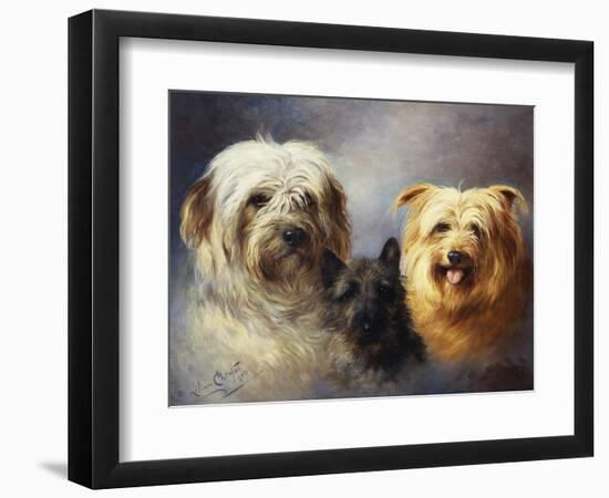 A Tibetan, a Cairn and a Silky Terrier-Lilian Cheviot-Framed Premium Giclee Print