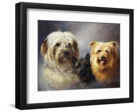 A Tibetan, a Cairn and a Silky Terrier-Lilian Cheviot-Framed Premium Giclee Print