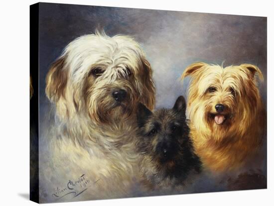 A Tibetan, a Cairn and a Silky Terrier-Lilian Cheviot-Stretched Canvas