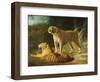 A Tiger and Tigress at the Exeter 'Change Menagerie in 1808, 1808-Jacques-Laurent Agasse-Framed Premium Giclee Print