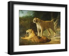 A Tiger and Tigress at the Exeter 'Change Menagerie in 1808, 1808-Jacques-Laurent Agasse-Framed Premium Giclee Print