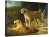 A Tiger and Tigress at the Exeter 'Change Menagerie in 1808, 1808-Jacques-Laurent Agasse-Stretched Canvas