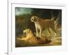 A Tiger and Tigress at the Exeter 'Change Menagerie in 1808, 1808-Jacques-Laurent Agasse-Framed Giclee Print