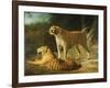 A Tiger and Tigress at the Exeter 'Change Menagerie in 1808, 1808-Jacques-Laurent Agasse-Framed Giclee Print