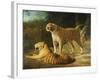 A Tiger and Tigress at the Exeter 'Change Menagerie in 1808-Jacques-Laurent Agasse-Framed Giclee Print