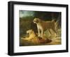 A Tiger and Tigress at the Exeter 'Change Menagerie in 1808-Jacques-Laurent Agasse-Framed Giclee Print