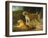 A Tiger and Tigress at the Exeter 'Change Menagerie in 1808-Jacques-Laurent Agasse-Framed Giclee Print