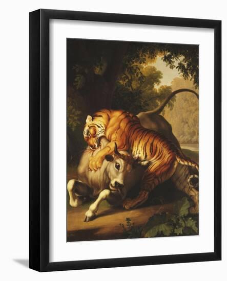 A Tiger Attacking a Bull, 1785-Johan Wenzel Peter-Framed Giclee Print