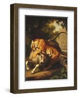 A Tiger Attacking a Bull, 1785-Johan Wenzel Peter-Framed Giclee Print