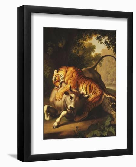 A Tiger Attacking a Bull, 1785-Johan Wenzel Peter-Framed Giclee Print