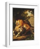 A Tiger Attacking a Bull, 1785-Johan Wenzel Peter-Framed Giclee Print