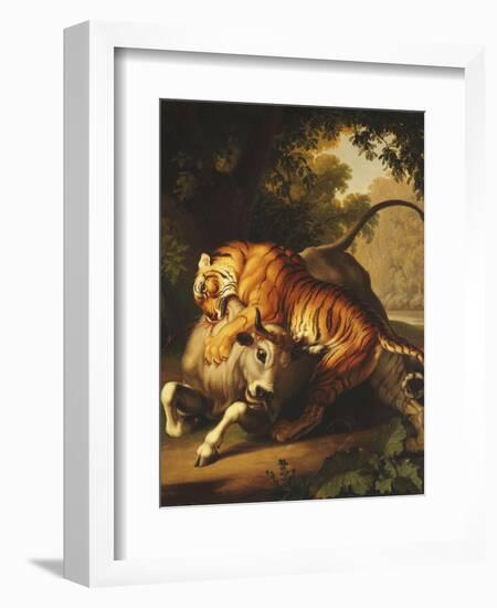 A Tiger Attacking a Bull, 1785-Johan Wenzel Peter-Framed Giclee Print