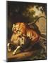 A Tiger Attacking a Bull, 1785-Johan Wenzel Peter-Mounted Giclee Print