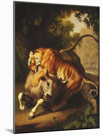 A Tiger attacking a Bull-Peter Wenzel-Mounted Giclee Print