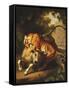 A Tiger attacking a Bull-Peter Wenzel-Framed Stretched Canvas