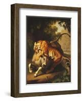 A Tiger attacking a Bull-Peter Wenzel-Framed Giclee Print