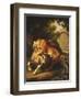 A Tiger attacking a Bull-Peter Wenzel-Framed Premium Giclee Print