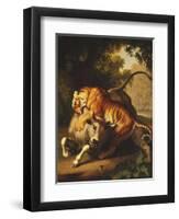 A Tiger attacking a Bull-Peter Wenzel-Framed Premium Giclee Print