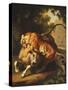 A Tiger attacking a Bull-Peter Wenzel-Stretched Canvas