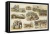 A Tiger Hunt in India-null-Framed Stretched Canvas