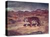 A Tiger Hunting His Prey (W/C on Paper)-Antoine Louis Barye-Stretched Canvas