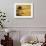 A Tilt Shifted Country House on a Cereal Field-Ikerlaes-Framed Photographic Print displayed on a wall