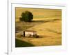 A Tilt Shifted Country House on a Cereal Field-Ikerlaes-Framed Photographic Print