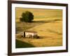 A Tilt Shifted Country House on a Cereal Field-Ikerlaes-Framed Photographic Print