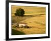 A Tilt Shifted Country House on a Cereal Field-Ikerlaes-Framed Photographic Print