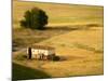A Tilt Shifted Country House on a Cereal Field-Ikerlaes-Mounted Photographic Print