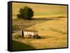 A Tilt Shifted Country House on a Cereal Field-Ikerlaes-Framed Stretched Canvas