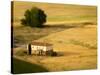 A Tilt Shifted Country House on a Cereal Field-Ikerlaes-Stretched Canvas