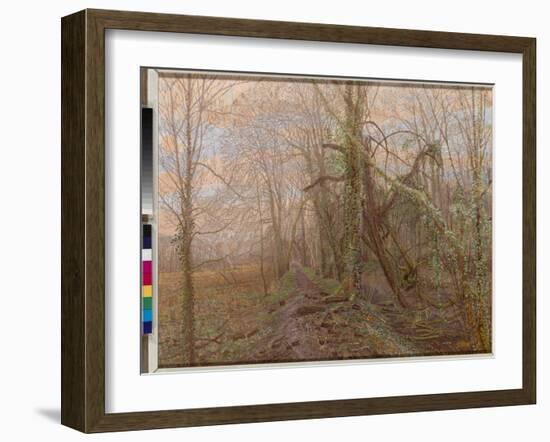 A Time Line of Trees, 2008-Maurice Sheppard-Framed Giclee Print