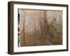 A Time Line of Trees, 2008-Maurice Sheppard-Framed Giclee Print