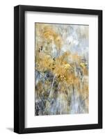 A Time Of Freedom-Delphine Devos-Framed Photographic Print