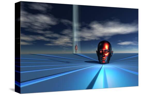 Stretched Canvas Print, , large