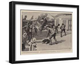 A Timely Rescue by His Master, a Scene in Johannesburg-Gordon Frederick Browne-Framed Giclee Print