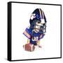 A Tiny Chihuahua in a Football Uniform-graphicphoto-Framed Stretched Canvas