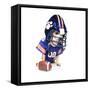 A Tiny Chihuahua in a Football Uniform-graphicphoto-Framed Stretched Canvas