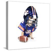 A Tiny Chihuahua in a Football Uniform-graphicphoto-Stretched Canvas